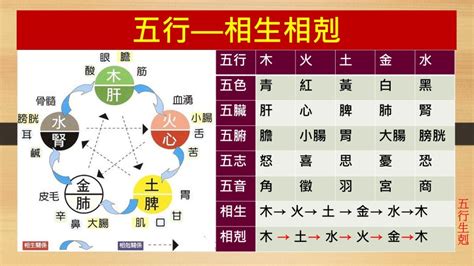 土剋金|五行相生相剋:五行,四季五行,相生相剋,概念對應,五行。